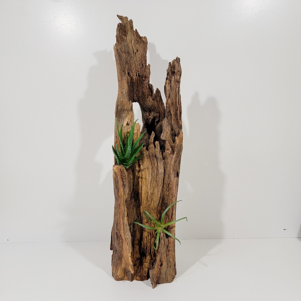 Natural Driftwood Sculpture Air Plant Holder Crystal Display Rustic Wood Decor